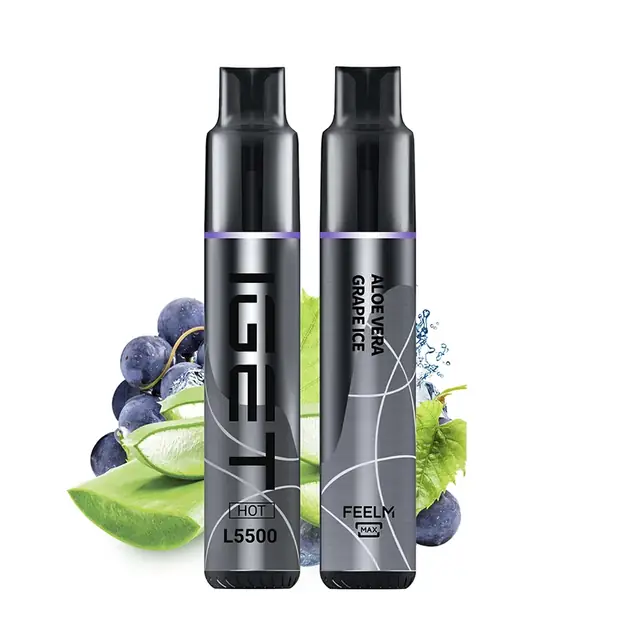 Aloe Vera Grape Ice – IGET HOT 5500 Puffs