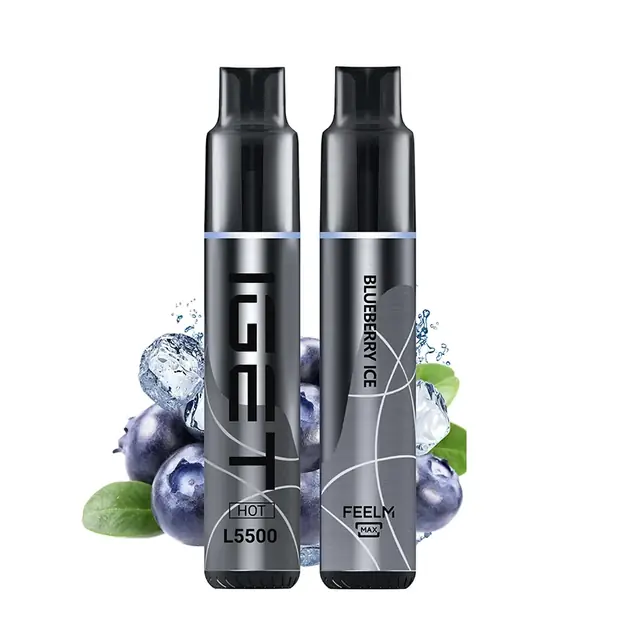 Blueberry Ice – IGET HOT 5500 Puffs