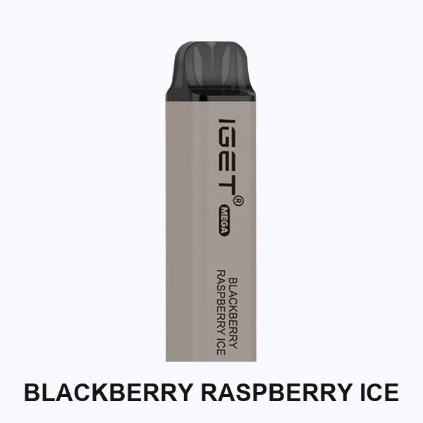 Blackberry Raspberry Ice IGET Mega 3000