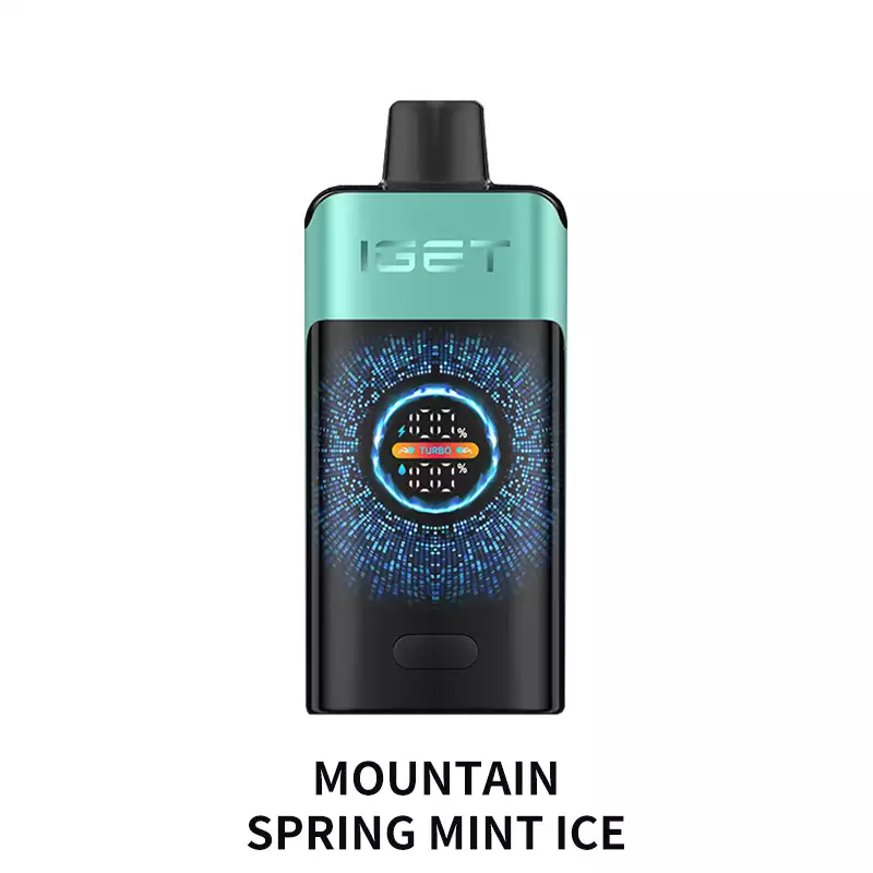 Mountain Spring Mint Ice IGET One 12000 Puffs
