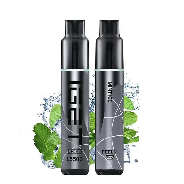 Mint Ice – IGET HOT 5500 Puffs